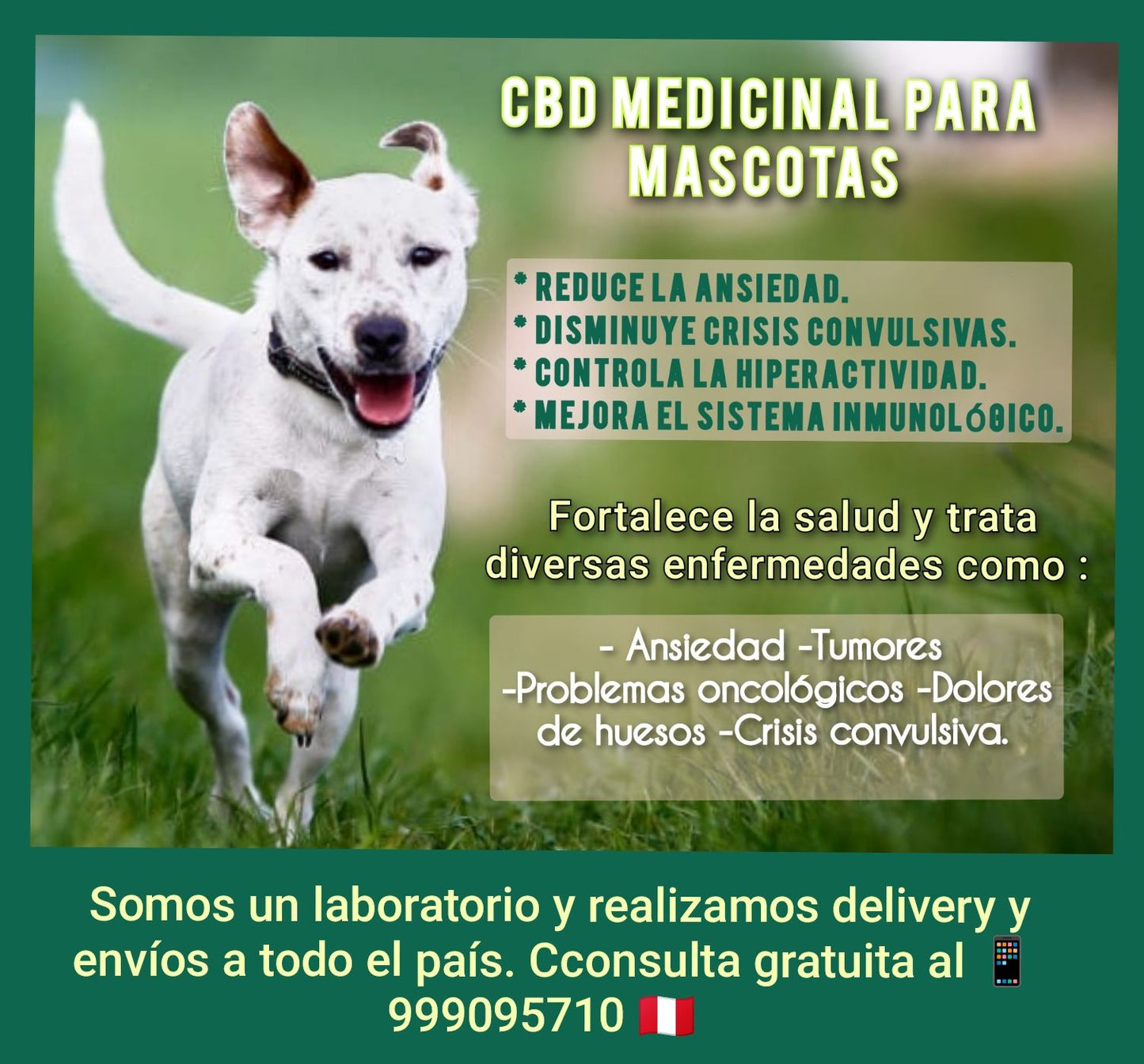 Medicina Natural con múltiples beneficios para la salud